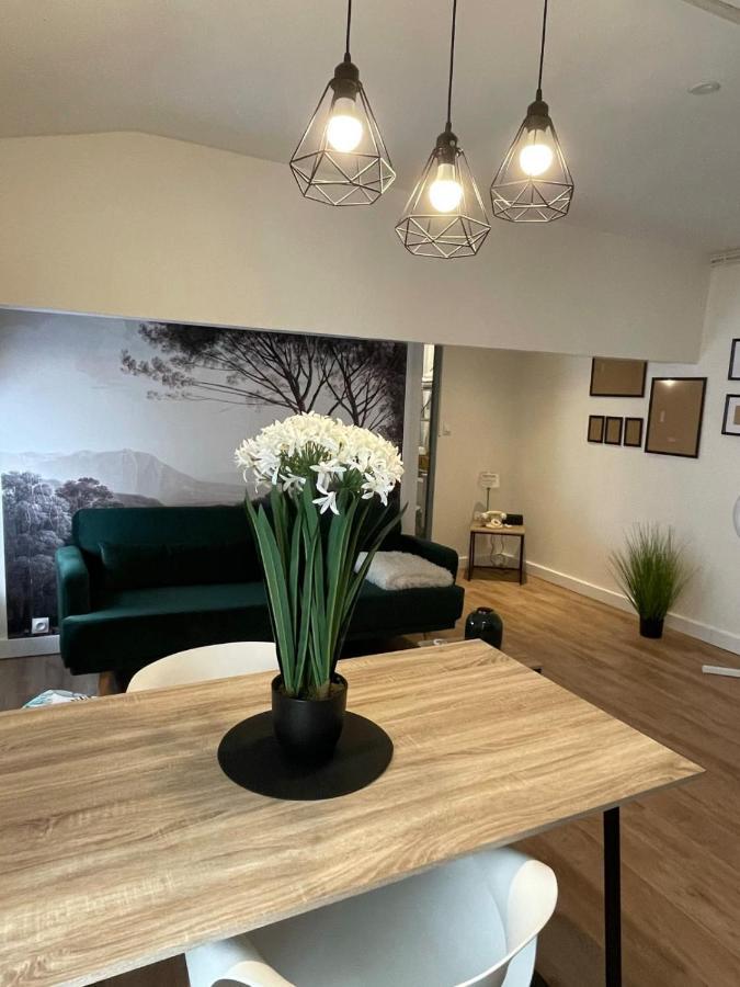 Magnifique Appartement Au Coeur De La Ville Beziers Luaran gambar